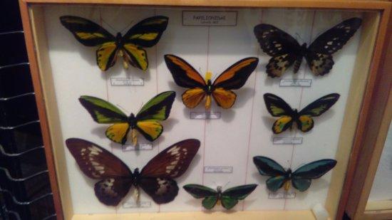 Museo di Storia Naturale